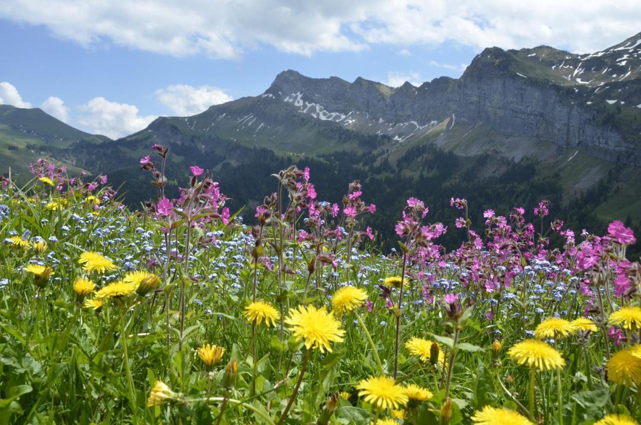 Ferienwohnung Ob Vierwaldsaettersee Isenthal Esterno foto