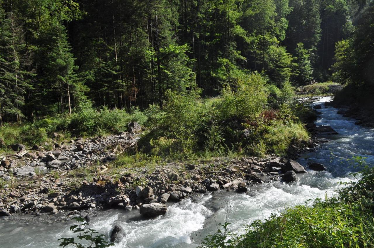 Ferienwohnung Ob Vierwaldsaettersee Isenthal Esterno foto